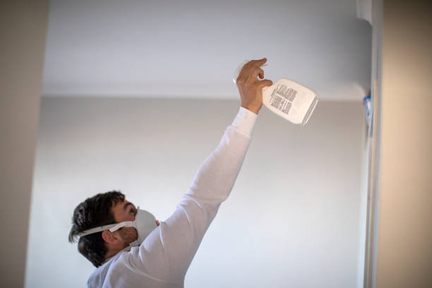 Best Black Mold Removal  in Eastport, NY